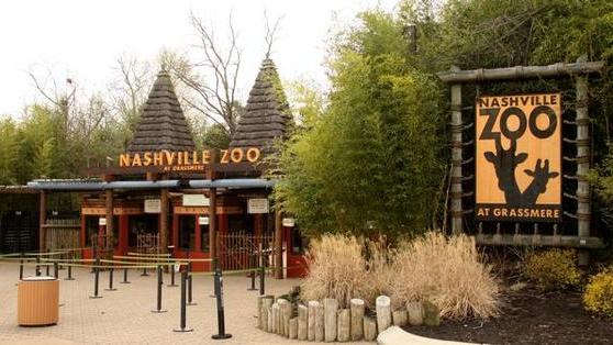 A serene pathway at the Nashville Zoo, with lush vegetation and trees lining the walkway, offering visitors a tranquil and immersive experience in nature.