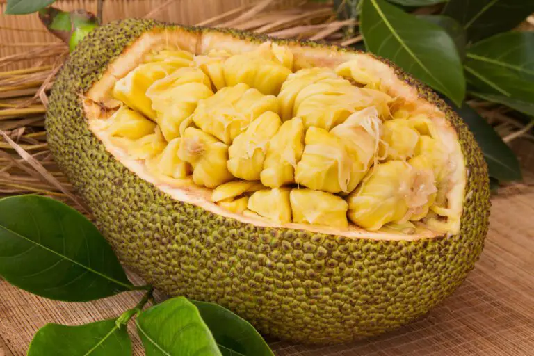 Jackfruit recipes